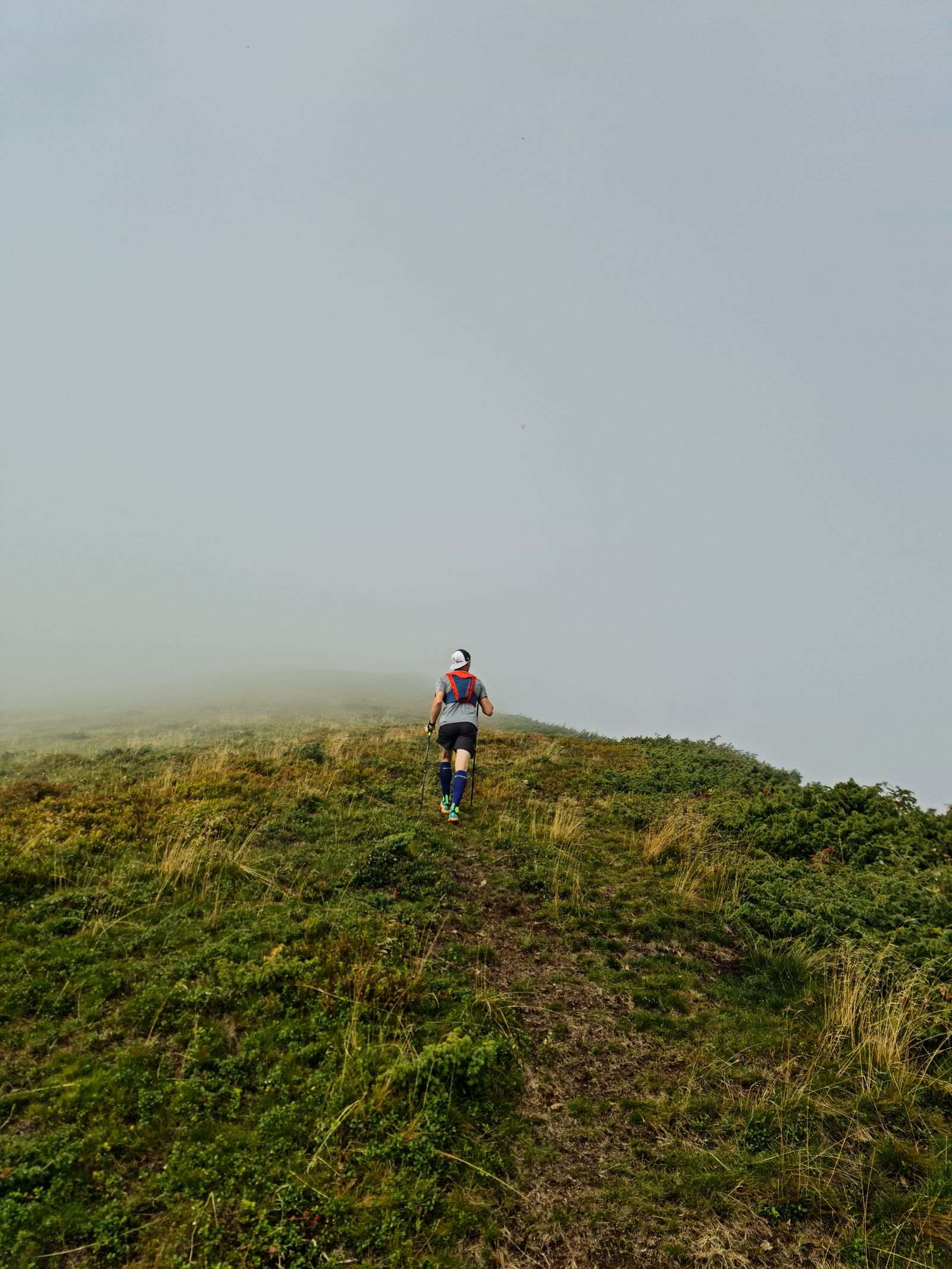 Coureur de trail solitaire montant une crête herbeuse dans le brouillard