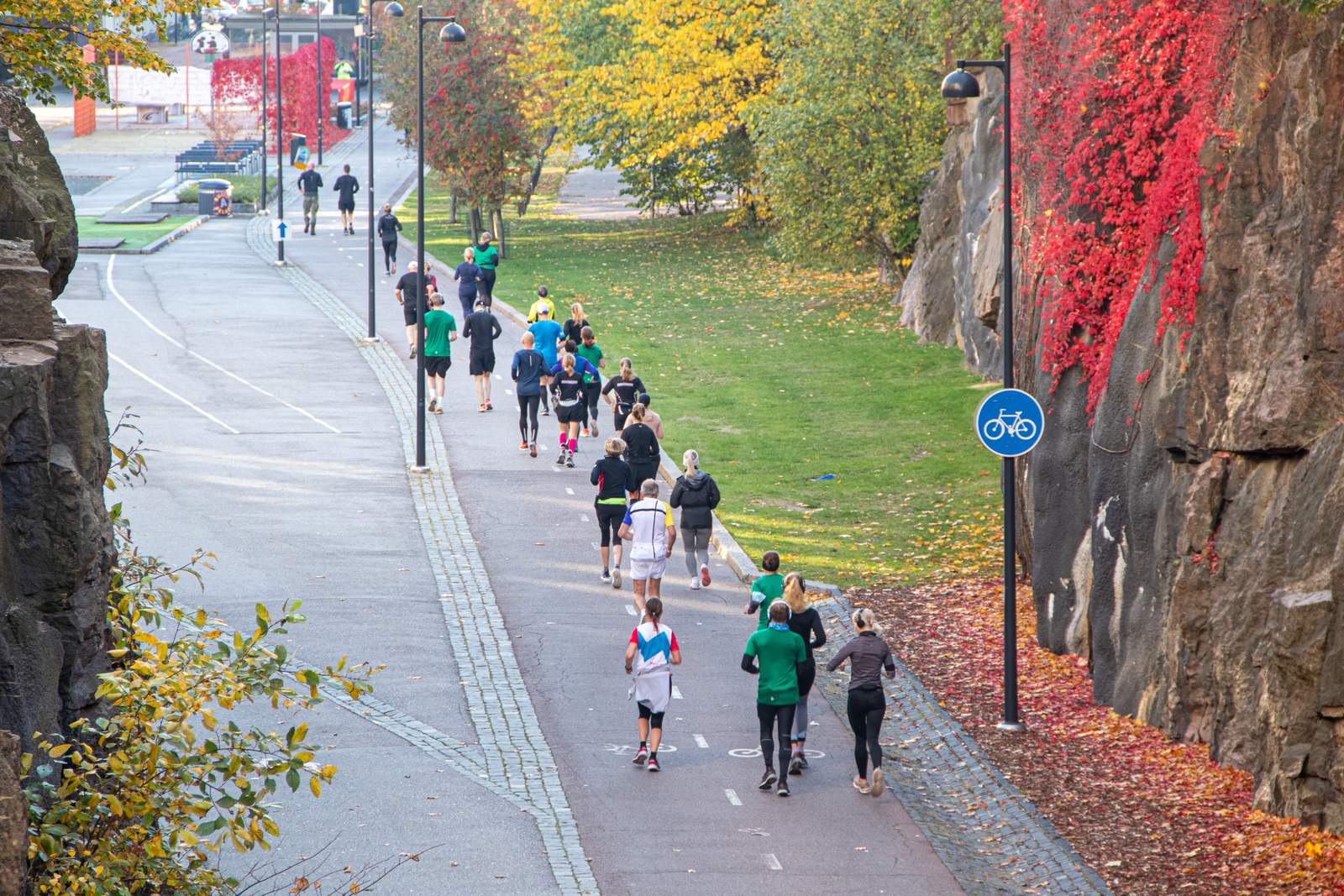 Coureurs sur une avenue urbaine lors d'une course d'automne