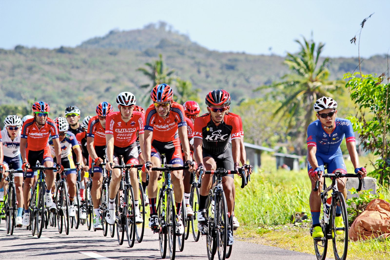 Peloton de cyclistes sur route lors d'une course